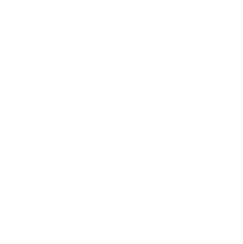 Raemisch Enterprises monogram